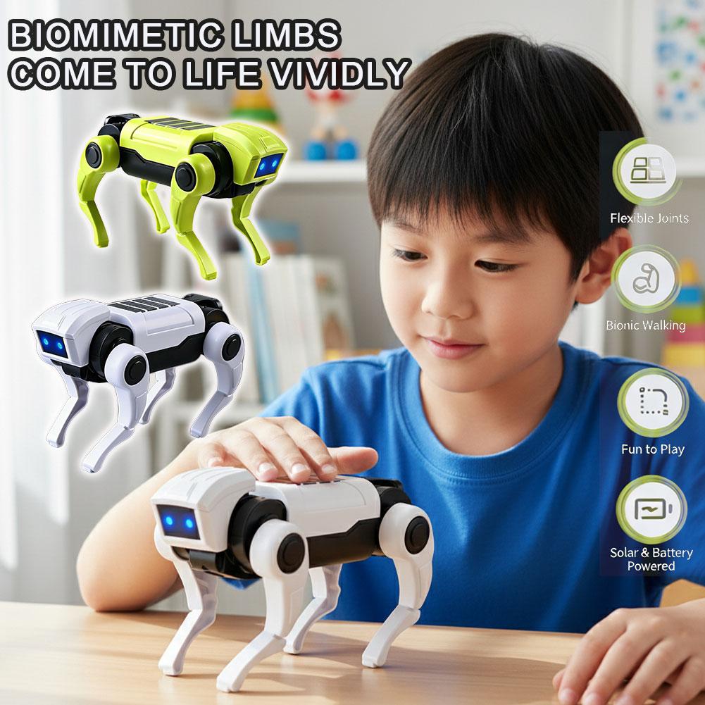1-10 stuks DIY bouwpakket RC r - Science Project Robot recensie en prijs
